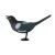 Import Pied Magpie hunting bird decoy from China