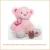 Import Pink Cuddly Teddy Bear Soft Stuffed Toy from China