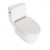 Portable The Elderly Trainer Seat Australian Standard Sitting Tangshan Ceramic Ce Bowl Luxury Sucker Home Toilet