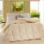 Import premium 5 star queen size donw feather quilt and comforters 95% goose down comforter from China