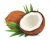 Import Premium Fresh Coconuts, Husked and Semi Husked/Affordable from Philippines