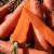 Import Premium Fresh Lowest Price Fresh Viet Organic Fresh Carrot from China