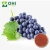 Import Procyanidin B2 Grape Seed Extract Suppliers from China