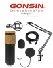 Professional Condenser Microphone Home Recording Studio Equipment