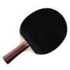 Professional table tennis racket set case customized logo manufacturer directly table tennis racket