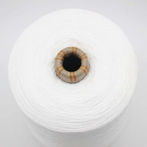 Proper Price Top Quality 150/2 Drope Dyed Filament DTY Embroidery Yarn