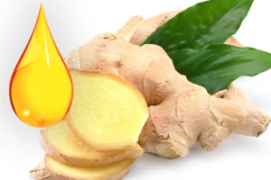 Pure Organic Ginger Oil 520ml Wholesale OEM Ginger Flavored Essential Oil Available For Wholesale Supermarket