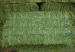 Quality Alfalfa Hay for Animal Feeding and Seeds Cheap Alfalfa Hay Bales