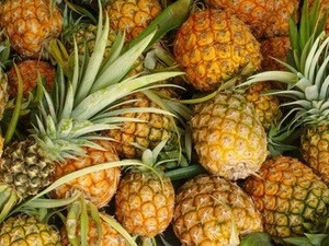Quality Fresh Wholesale Fresh Pineapple,BEST PRICE FRESH PINEAPPLE