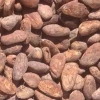 Quality grade dried cocoa beans