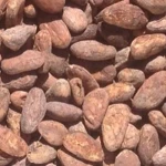 Quality grade dried cocoa beans