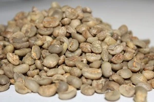 Raw Green Coffee Beans Popular Products
