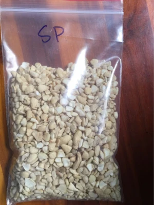 Raw Kernel Cashew Nuts SP from Viet Nam with the best price for Wholesale