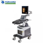 Real time 4d ultrasound scanner color doppler 4D sonography medical ultrasound