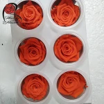 Real touch wedding flowers eternal rose never fading stabilized roses for valentines