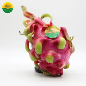 RED DRAGON FRUIT WITH BEST PRICE