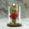 Red Graceful Preserved Roses 100% Natural Fresh Dried Flower Stabilized In Glass