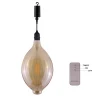 Remote Control Battery Run Indoor Outdoor Glass LED Pendant Light