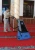 Import Rotary Brush Carpet Floor Sweeper from China