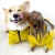 Sale Polyester Material 2020 Pet Yellow Windproof Rainproof Jacket Dog Apparel