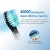 Import SEAGO 010-8 Replacement toothbrush head for Sonic  toothbrush for SG-507 SG-917 SG-515 SG-958 from China