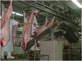 sheep cow pig slaughter house and butcher machinery made in China