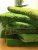 Import Simulation Moss Turf Simulation Scene Window Decoration Artificial Moss Green Plant Wall Pearl Cotton preserved Moss from China