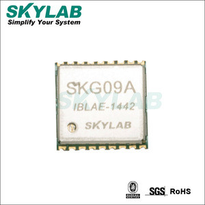 Buy Skylab World Small Gps Tracker Module Skg09a Gps Tracking Device ...
