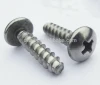Stainless Steel 304 Thread Self Tapping Screws in common use