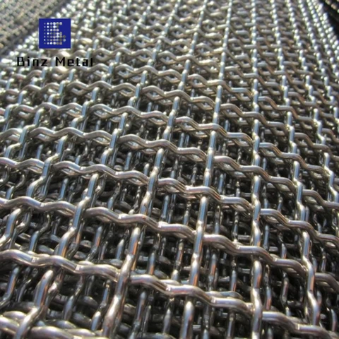 Stainless Steel Crimped Woven Wire Mesh (High Quality)