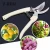 Import Stainless steel pruning shears Multifunctional fruit flower picking scissors Garden tools from China