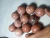 Import Strawberry Red Pink Jasper Balls Or Sphere Precious Stone Origin From Pakistan from Pakistan