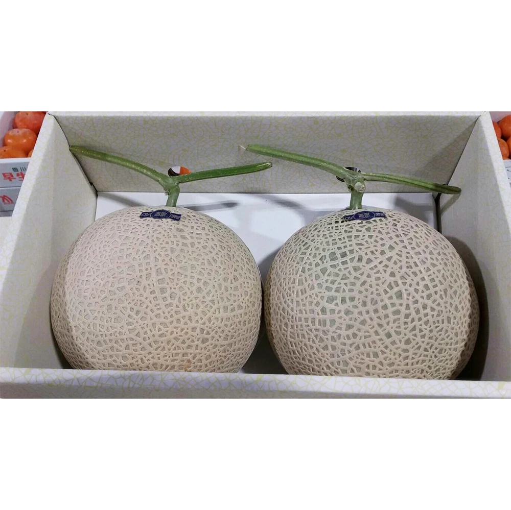Strict quality control delicious fresh melon fruit export packaging for sale