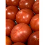 Strict quality control high in sugar wholesale tomato prices