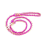 Strong Nylon Dog Training Leash