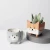 Import Succulent flower pot cute ceramic pot hedgehog bunny puppy small animal flower pots planters from Pakistan