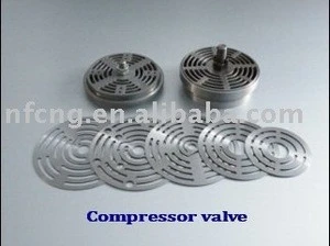 Suction &amp; Discharge Valves For CNG Compressor