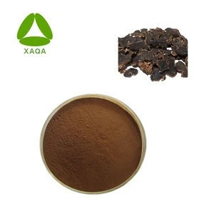 Supply Best Quality Black Ginger Extract