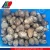 Import Taro For Sale, Chinese Cost of Fresh Taro for UK Market Sale from China