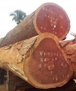 Teak and Okoume logs and lumber timber