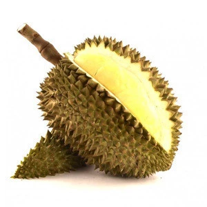 Thai Fresh Durian In Bulk