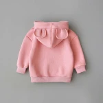 Toddler Baby Kids Boy Girl Hooded Cartoon 3D Ear Hoodie Sweatshirt Tops