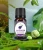 Import Top Grade 100%  Pure Factory Price Aromatherapy Essential Oil 10 ML from China