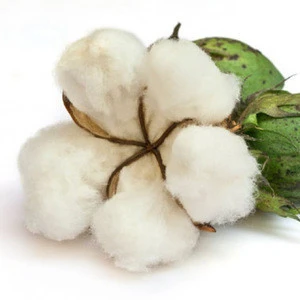 Top Quality Raw Cotton, Raw Cotton Bales For Sale At Cheap Rrate