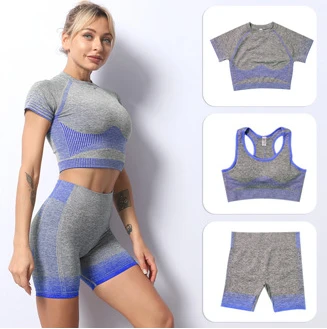 Factory Directly Custom Logo Athletic Wear Seamless Gym Clothing for Women,  2/3PCS Workout Outfits Sexy Sports Bra + Biker Shorts + Yoga Pants Activewear  Set - China Sexy Gym Clothes and Gym