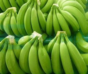 Tropical Green Banana wholesale 18.5 Weight