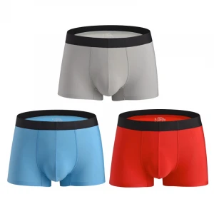 Underwear Briefs Sexy Men Shorts Custom Spandex Seamless Panties Hot Trunk 85% Polyamide Ice Silk Para Hombre Mens Boxer Brief