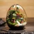 Import Unique glass desktop decoration,glass dome,glass crafts for home decoration from China
