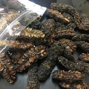 VIET NAM DRIED NONI FRUIT IS AVAILABLE - BEST PRICE