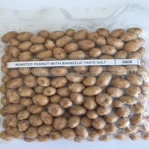 Vietnam On Sale High Quality BBQ Flavour Coated Peanuts Roasted Barbecue Healthy Snack